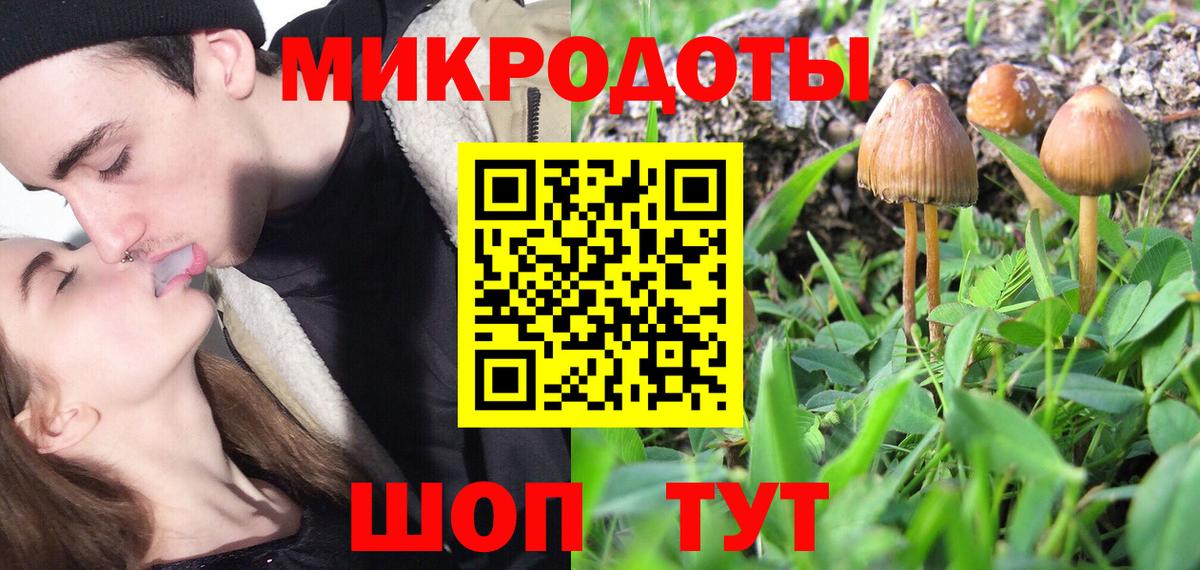 Дедовск  Галлюциногенные грибы прущие грибы  Вход с VPN  Псилоцибиновые грибы Magic Shrooms 